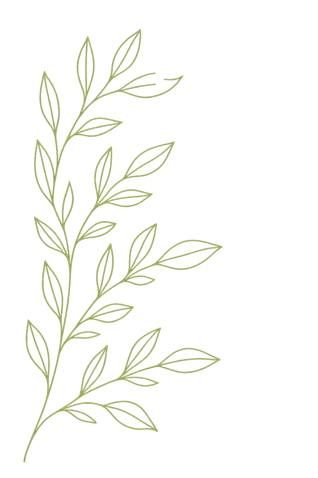 Decoración de hojas izquierda
