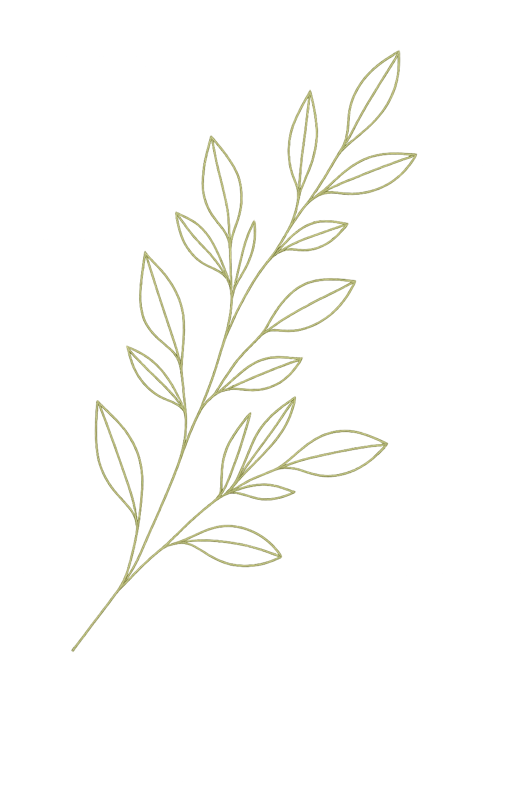 Decoración de hojas